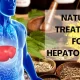 What is Hepatomegaly