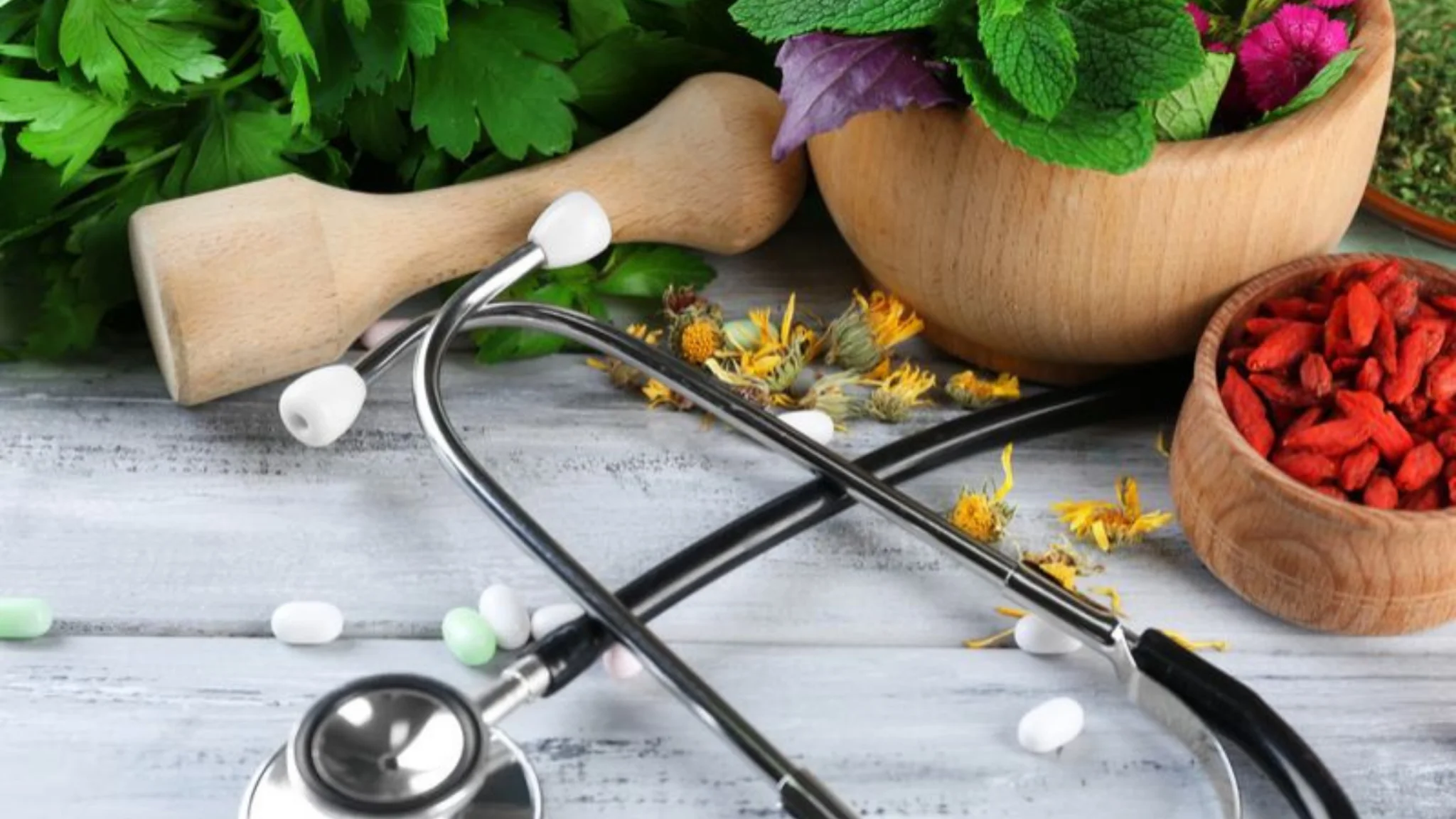 why you should visit a naturopath, naturopathy center in Udaipur