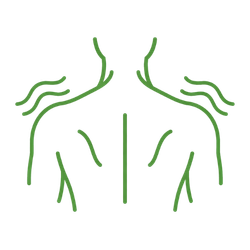 Naturopathy and Physical Therapies